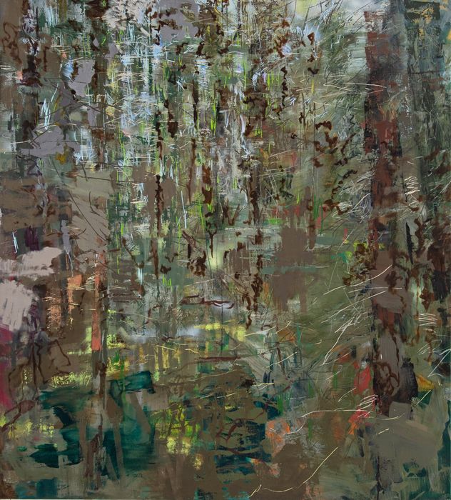 Conifers